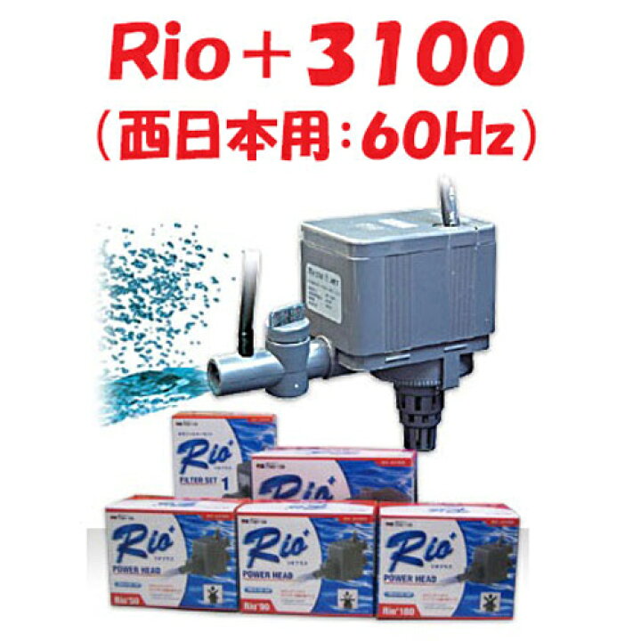 楽天市場】カミハタ Rio+3100 水中ポンプ (西日本用:60Hz) リオプラス 