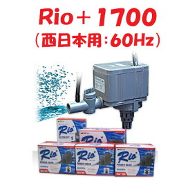 カミハタ Rio＋1700 水中ポンプ (西日本用：60Hz) リオプラス