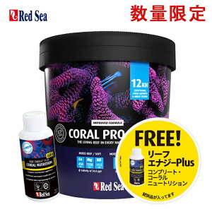 yʌIz bhV[ R[v\g 22kg oPc [tGiW[vX 100ml t lHC ANAE