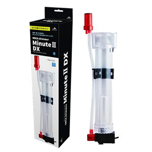 MMC IJ XL}[~jbg 2 DX ^pveCXL}[ Minute