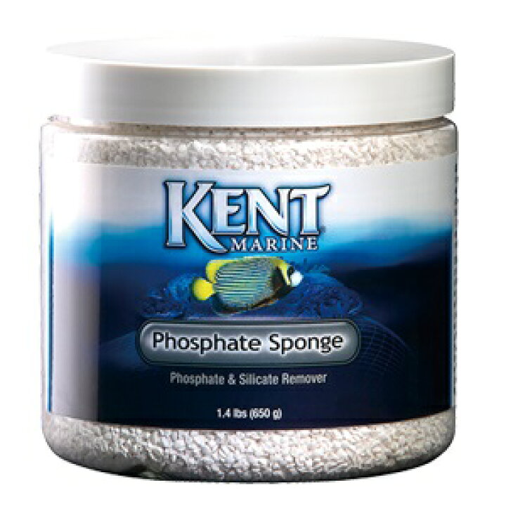 楽天市場 マーフィード ケント マリン フォスフェート スポンジ 544g 海水 ろ材 水質調整 株式会社ディスカウントアクア