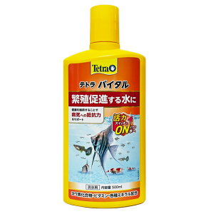 yzyVpbP[Wz eg oC^ 500ml  Wp ɐB 