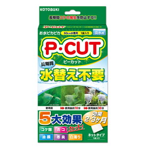 yzRguL s[Jbg lbg 60 1ܓ Wp  PECUT lbg^Cv