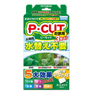 yzRguL s[Jbg lbg 60 p 3ܓ Wp  PECUT lbg^Cv