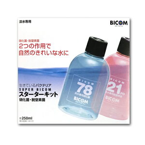 y3980~ȏőzoCR X[p[oCR X^[^[Lbg Wp 250ml p1{t ɉ Ef oNeAyL:2026N11z