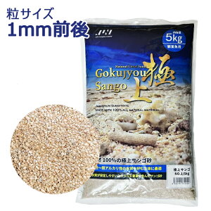 JUN ɏTS NO.1 e5kg ꏰ C TS