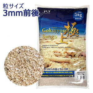 yzJUN ɏTS NO.3 e5kg ꏰ C TS