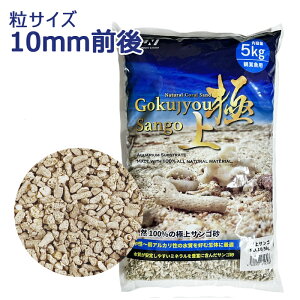 yzJUN ɏTS NO.10 e 5kg ꏰ C TS