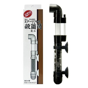 yzANAH[ GA[tg Eۓ ~j K60Lȉ CEWp