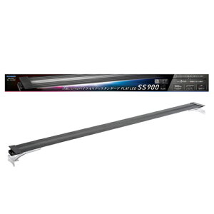 RguL tbgLED X[p[X 900 ubN FLAT LED SS 900 CEWp