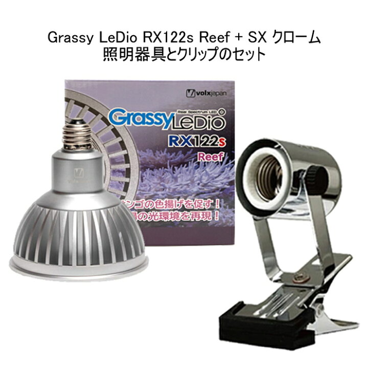楽天市場】【新商品】 ボルクスジャパン グラッシーレディオ RX122s 