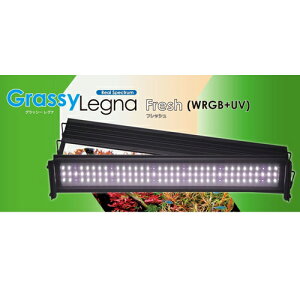 yViz {NXWp ObV[Oi tbV WRGBV GLGN60/FR  ϗtA LEDCg