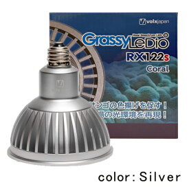 ボルクスジャパン グラッシーレディオ RX122s コーラル シルバー 海水用 LEDライト