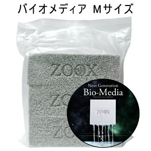 ZOOX lNXgWFl[V oCIfBA MTCY 1.12L   W C   tB^[