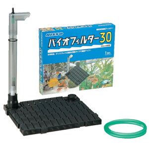 jb\[ oCItB^[ 30 ʃtB^[ 30cmp tB^[jbg1