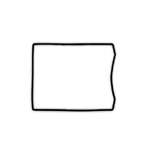 RguL OO PSV-09 p[{bNX pp[c (K@:SV450X/SV4500) p[c