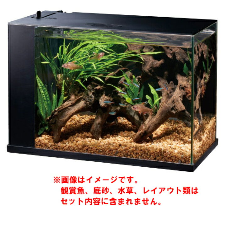 楽天市場 Gex ラクテリア ブラック オールインワン水槽 インテリア水槽 淡水用 海水用 株式会社ディスカウントアクア