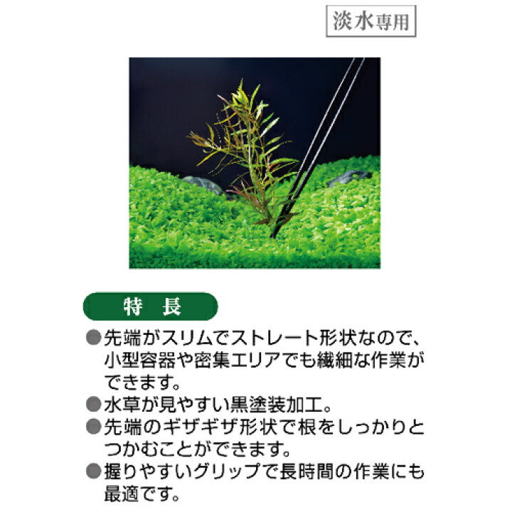 楽天市場】GEX 水草ピンセット ストレート 淡水専用 : 株式会社ディスカウントアクア 楽天市場】GEX 水草ピンセット ストレート 淡水専用 : 株式会社ディスカウントアクア
