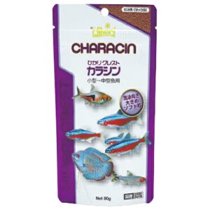 L[ Ђ NXg JV 80g ^E^p 