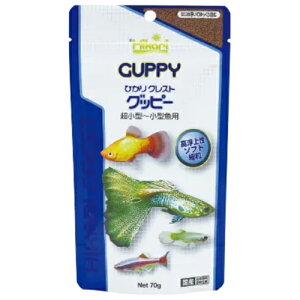 yzL[ Ђ NXg Obs[ 70g ^`^p 