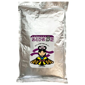 ۍg ƂЂ B2 (2kg) _J Mы t GT 