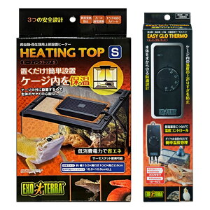 wGEX GL]e q[eBOgbv SxƁwGEX GL]e C[W[O[T[x̃Zbg ঒  㕔ݒuq[^[ T[X^bg