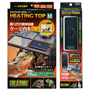 wGEX GL]e q[eBOgbv MxƁwGEX GL]e C[W[O[T[x̃Zbg ঒  㕔ݒuq[^[ T[X^bg