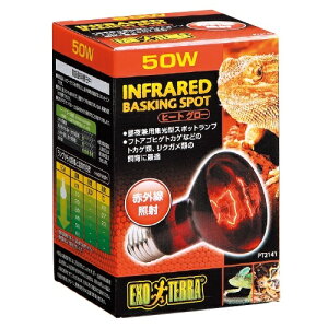 yzGEX GL]e q[gO[ 50W ԊOƎ˃X|bgv PT2141 ঒ޗp Ɩ