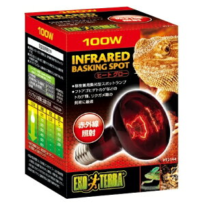 yzGEX GL]e q[gO[ 100W ԊOƎ˃X|bgv PT2144 ঒ޗp Ɩ