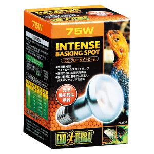 yzGEX GL]e TO[ ^Cgr[ 75W oXLO X|bgv PT2136 ঒ޗp Ɩ