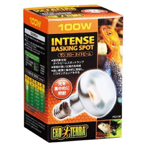 yzGEX GL]e TO[ ^Cgr[ 100W oXLO X|bgv PT2138 ঒ޗp Ɩ