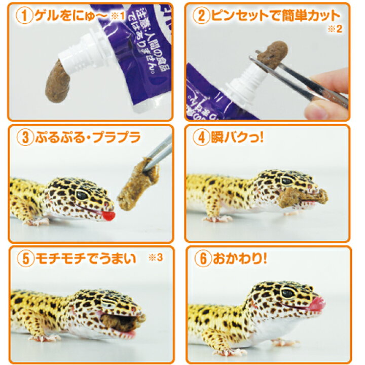 市場 キョーリン レオパゲル60g:リコメン堂ビューティー館 市場 キョーリン レオパゲル60g:リコメン堂ビューティー館