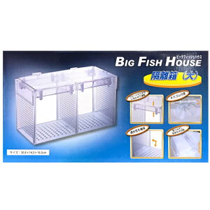 y3980~ȏőzAY[ u () rbOtBbVnEX BIG FISH HOUSE p ӏ܋p
