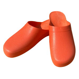 傳 MT T{ T_ fB[X  K[fjO C x_ Xbp  AEghA {  uh  v ϋv 23.5 24 24.5 25 ̓ v[g BBC r[r[