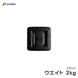 楽天市場 重り 鉛の通販