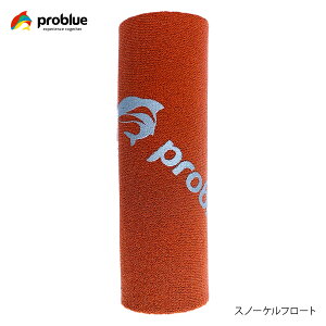 PROBLUE vu[ Xm[Pt[g AC-119 _CrO Vm[P Vm[PO