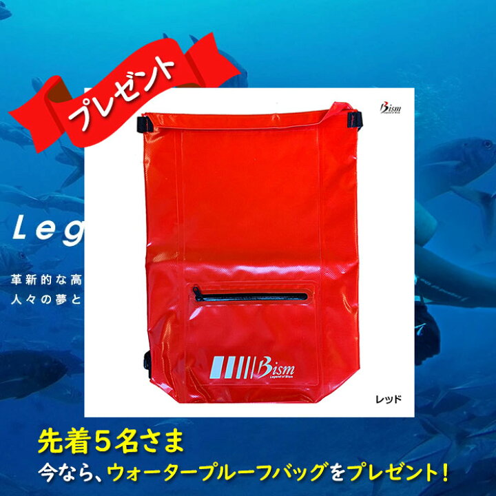 楽天市場】Bism ビーイズム サマージ ダイビング 重器材 器材 セット 