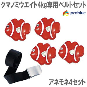 PROBLUE vu[ N}m~EGCg 4kg pEGCgxgZbg All4