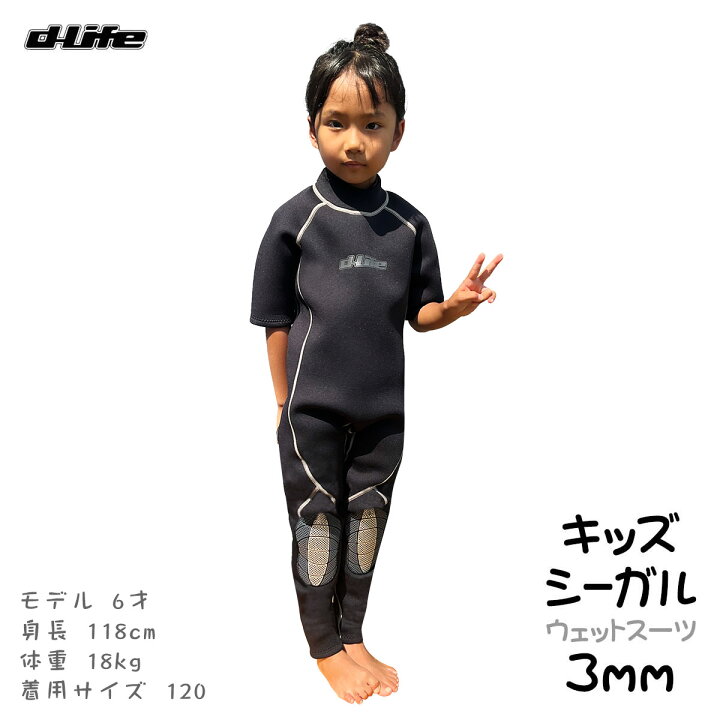 楽天市場】子供用 dlife ディライフ 3mm シーガル ウェット 