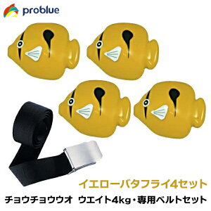 PROBLUE vu[ `E`EEIEGCg 4kg pEGCgxgZbg CG[o^tC4