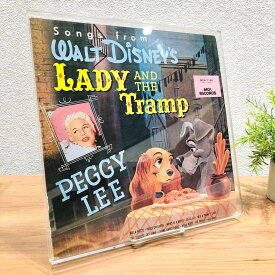 【 LP用アクリルフレーム (フチなし) 】ディスクユニオン / disk union / レコード ディスプレイ LP 10inch フレーム 額縁 アクリル 透明 DJ 壁掛け