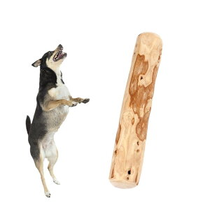    VR R[q[̖ Y  f^PA R[q[Ebh`\ ފߋ mߋ XgX  ̂ ^ ^ ^