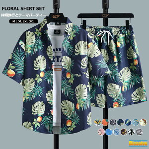 AnVc ㉺ Y ㉺Zbg  An ZbgAbv fB[X WjA ԕVc V[gpc  W[W  s W[ e[}p[eB[ C r[` Vc 