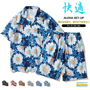 AnVc ㉺Zbg Y   W[W fB[X ZbgAbv fB[X WjA ㉺ ԕVc Vc V[gpc  s W[ e[}p[eB[ C 