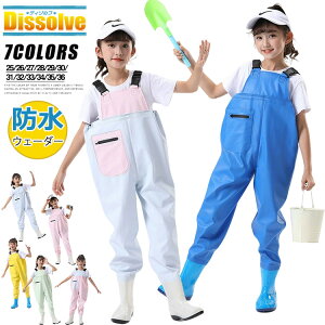 EF[_[ LbY C h Y{ qp ̎q j̎q V tC EGXgnC `FXgEF[_[ ̌^AEghA tBbVO Ȃ V r[` } EFA J 