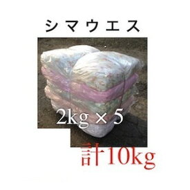楽天市場 コストコ 通販 花 ガーデン Diy の通販 楽天市場 コストコ 通販 花 ガーデン Diy の通販