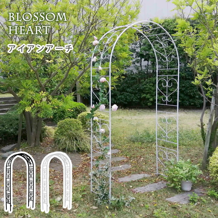 ガーデンアーチ 木製 アーチ バラアーチ おしゃれ つる性植物 つる ガーデン 特大 ナチュラル 天然木 エクステリア スリム ローズアーチ バルコニーアーチ ガーデニング 用品 木 植物 庭園 庭 バラ フェンス 柵 フラワーアーチ ガーデンファニチャー 園芸