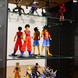 コレクションケース コレクション 棚 ミニカー コレクションキャビネット ケース フィギュアケース ディスプレイケース ラック フィギュア コレクションラック 飾り棚 小物収納 スリム ミラー 2枚セット ロータイプ 深型 浅型 開き扉タイプ