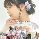 楽天市場 その他 ヘアアクセサリー レディースジュエリー アクセサリー ジュエリー アクセサリーの通販