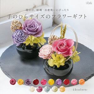 Iׂt[Mtg/S15F ̓ v[g ̓Mtg Mtg ̓v[g   a j pI vU[uht[ \t[ t[AWg C